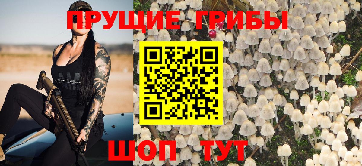 Псилоцибиновые грибы мицелий Тара