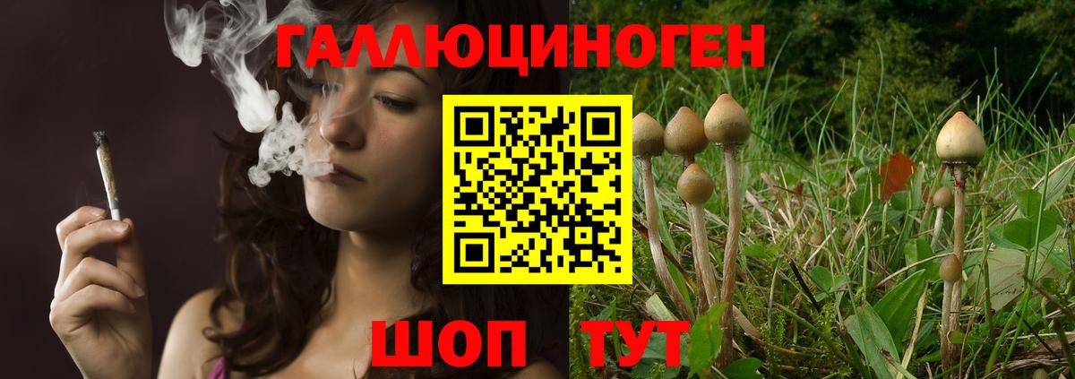Псилоцибиновые грибы GOLDEN TEACHER  Вход с VPN  Тара 